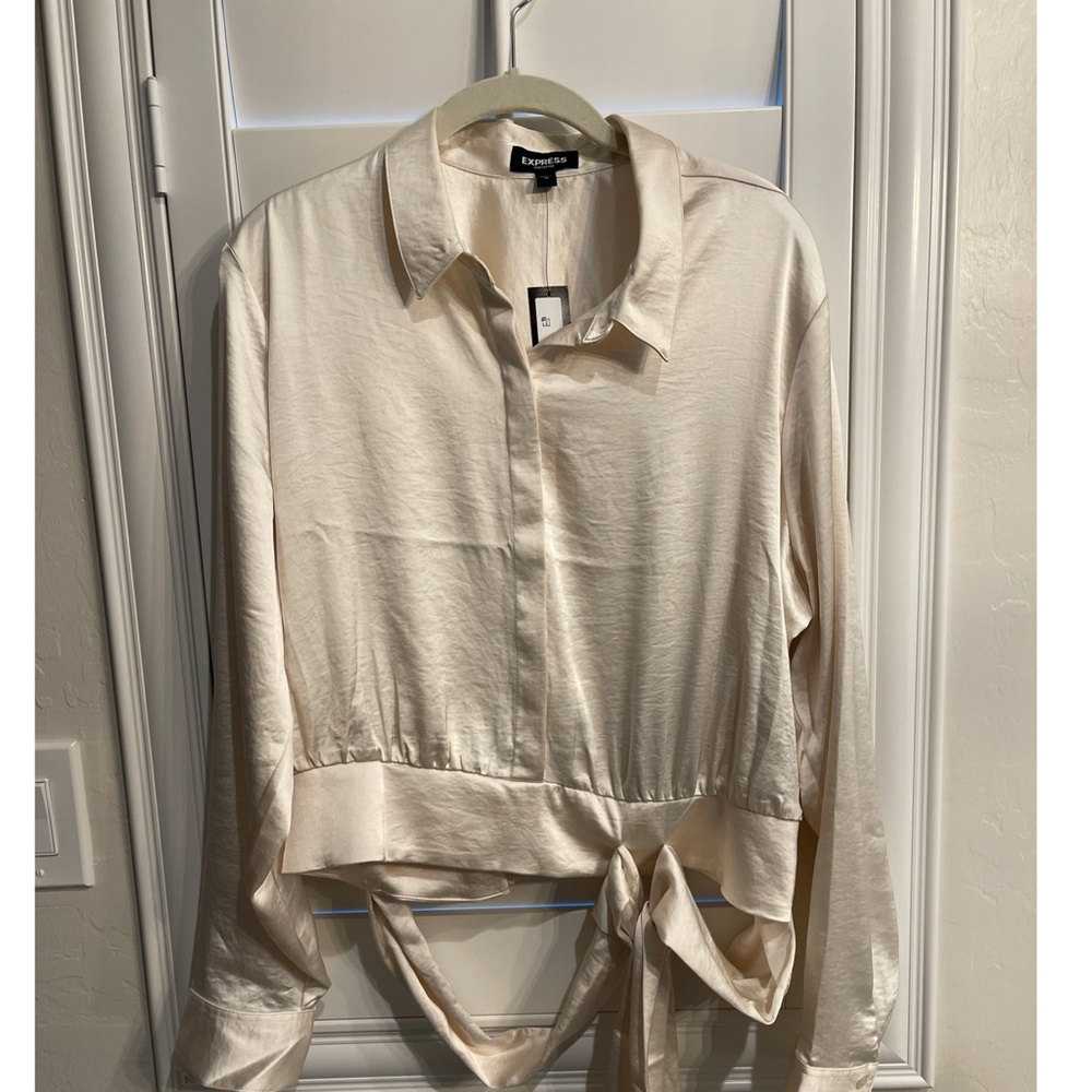 Express Silk Button Down Shirt